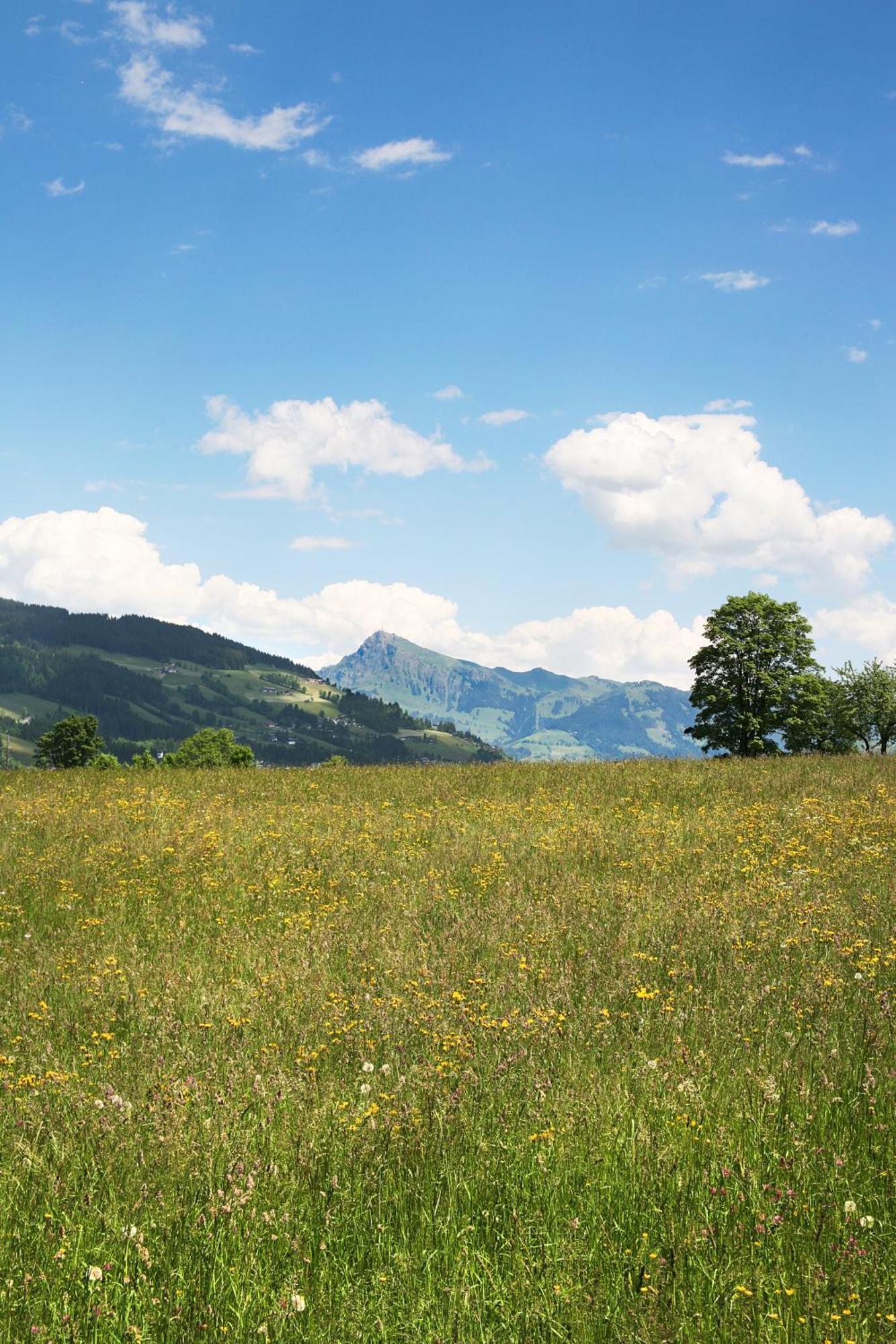 Loipenstubn Hotel Brixen im Thale Eksteriør billede